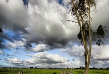 阿雅克肖队员砥砺前行，率队势不可挡夺胜