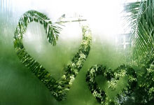 汉堡主场失利，再次陷入保级泥潭