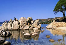 一方球员受伤离场，大连队陷入困境